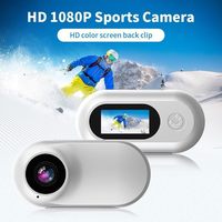 Mini caméra vidéo intelligente pour animaux, caméra sans fil à clipser avec aimant pour chiot, chaton, carte Micro SD 64 Go, traceur de jardin
