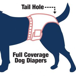 (XS, 10 pièces) Couches jetables super absorbantes pour chien, pour chienes en période de chaleur, pour l'urination et comme culottes anti-intimidation - Product Image 6