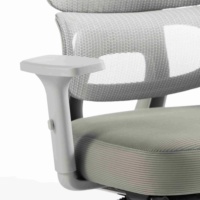 Chaise de bureau ergonomique à dossier haut en maille, avec accoudoirs réglables, inclinaison et verrouillage, pivotante, pour usage domestique, bureau ou école