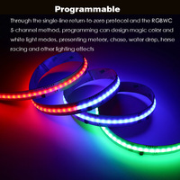15mm RGBWC 5-warna dalam satu spektrum penuh WS2805 24V 26W 840LED/M warna mengejar kuda balap Strip LED yang dapat diprogram