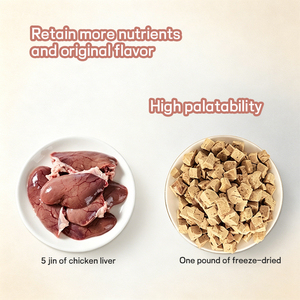Friandises pour animaux <span class=keywords><strong>de</strong></span> compagnie au <span class=keywords><strong>foie</strong></span> <span class=keywords><strong>de</strong></span> poulet lyophilisé naturel OEM, aliments pour chiens riches en protéines, fabrication <span class=keywords><strong>de</strong></span> friandises pour animaux <span class=keywords><strong>de</strong></span> compagnie, <span class=keywords><strong>prix</strong></span> <span class=keywords><strong>de</strong></span> gros - Product Image 2