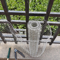 Grillage hexagonal galvanisé pour poulailler, directement de l'usine, durable, livraison rapide, taille personnalisée