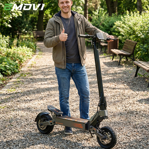EU Warehouse Stocks Long Range Powerful Motor 10inch Scooter Aluminum Adult Scooter - Product Image 3