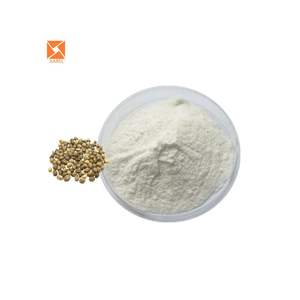 Kräuter extrakt in Bio-Qualität Hanf samen extrakt Pulver protein 99% - Product Image 6