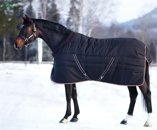 Pferdestherapie-Massagedecke Bodenbelag Pferdelaken Großhandel wasserdicht stabil Pferde Reiten Pferd Trainingsabschluss Leinwand PE-Tasche