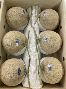 เมล่อนญี่ปุ่น - Product Image 4