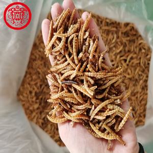 Top quality fish Aves Fábrica de alimentos Para Animais de Estimação Alimentos Secos Cascudinho - Product Image 2