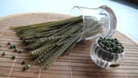 Pasta de soja verde de fideos orgánicos