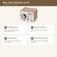 Maison pour chat en carton sur le thème de la physique, double entrée, panneaux à gratter repositionnables, pour chats adultes d'intérieur, vente en gros