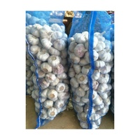 Ail frais blanc pur de 5 cm, nouvelle récolte, prix avantageux, carton de 10 kg, ail frais Ail Fresco
