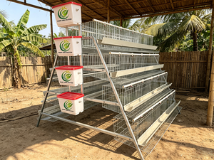 Nuova Gabbia per Galline Ovaiole a 4 Livelli, Capacità 160 Uccelli, Zincata a Caldo, Tipo A, per Piccoli/Medi Allevatori, Pollaio Mobile - Product Image 1