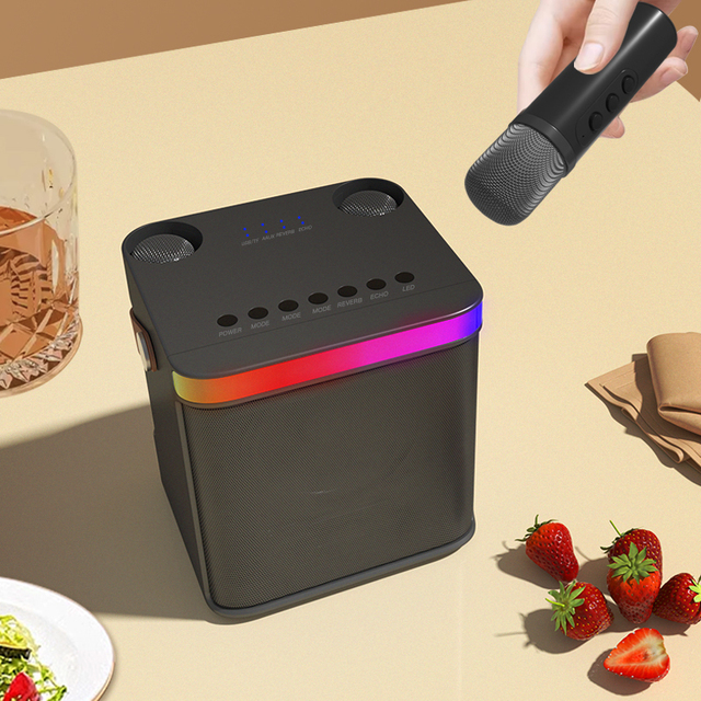 Mini Portable Karaoke Player Outdoor Mini Party Bass HIFI BT Home Wireless Karaoke Speaker Machine with Mic for Kids