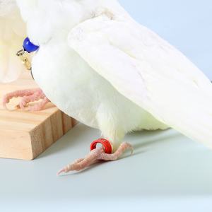 Güvercinler kuşlar kuş tavuklar için sıcak satış 8mm PlasticFoot halkaları - Product Image 6