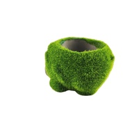Nouveau produit fabriqué en matériaux cimentés, pot à fleurs pour plantes succulentes, plantes de jardin, bonsaï, petit pot de pin vert