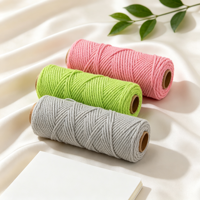 Cordon en coton tressé Nano Macramé pour suspension murale de plantes, artisanat DIY, tricot, crochet, sac, accessoires de décoration intérieure