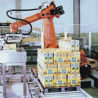 Ligne de palettiseur de machine d'emballage automatique personnalisée en usine de Leadworld prix de robot de palettisation empileur de robot