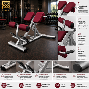 ZY Equipo de Gimnasio Comercial, <span class=keywords><strong>Silla</strong></span> <span class=keywords><strong>Romana</strong></span>, Banco de Hiperextensión de 45 Grados, Banco de Extensión de Espalda, Entrenador de Espalda Baja - Product Image 2