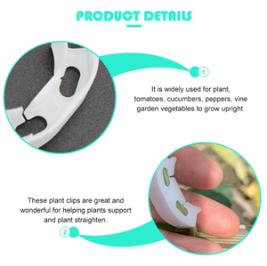 Clips <span class=keywords><strong>de</strong></span> support anti-pliage pour plantes, clips <span class=keywords><strong>de</strong></span> greffage blancs pour tomates, clips pour tomates - Product Image 3
