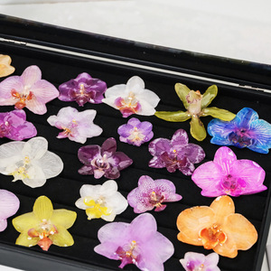 Colgantes de resina con flor de orquídea Phalaenopsis auténtica y orquídea mariposa seca para componentes de joyería DIY y broches - Product Image 6