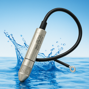 Capteur de niveau submersible BL0204 0,5% FS pour boues d'évacuation, étanchéité IP68, alimentation 12~36VDC pour puits profonds et barrages - Product Image 5