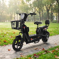 Trottinettes électriques 350W 500W 3 vitesses, pneus de 14 pouces, frein à tambour, batterie au plomb-acide 48V 12A 20A, JY, stock important
