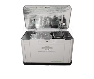Moteur Briggs and Stratton LPV/NG 18 kW, modèle d'urgence domestique 40756 USA, contactez-nous - Product Image 2
