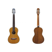 WaveGarden C40 Mini 34" Solid Top Nylon String Classical Guitar