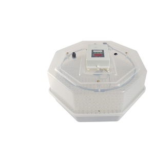 Incubadora de plantas portátil y práctica de alta calidad y buena reputación con 60 huevos de gallina a la venta ahora - Product Image 1