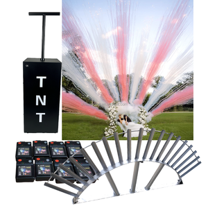 Événement Louer Fx Personnaliser Confettis Poudre <span class=keywords><strong>Canon</strong></span> Articles De Fête Nouveau Design Popper Feux D'artifice De Mariage Tnt Fumée Bombe Sexe Révéler - Product Image 5