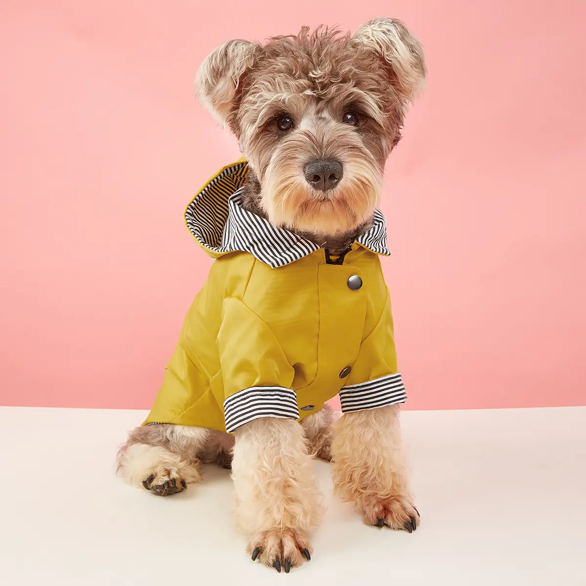 Felpa con cappuccio per cani cappotto per cani moda invernale giacca per cani calda giacca per animali domestici impermeabile vestiti