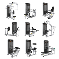 Paquete Completo de Equipos de Gimnasio de 300 m², Conjunto de Máquinas de Fitness Cardiovasculares y de Fuerza Comerciales, Solución Llave en Mano para Proyectos de Hoteles, Clubes y Resorts
