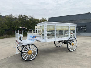 Char funéraire rétro <span class=keywords><strong>de</strong></span> style européen britannique, <span class=keywords><strong>chariot</strong></span> blanc populaire, voiture-cercueil, cercueil à chevaux, transport spécial - Product Image 2
