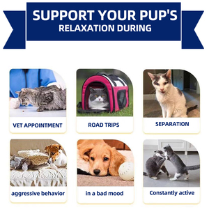 En Stock: Masticables Calmantes Avanzados <span class=keywords><strong>para</strong></span> Mascotas, Alivian la Ansiedad y el Miedo a las Visitas al Veterinario, el Aseo y los Ruidos Fuertes - Product Image 4