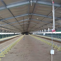 Bâtiment modulaire de poulailler-Structure en acier Q235, taille de 30x15m, système de ventilation inclus