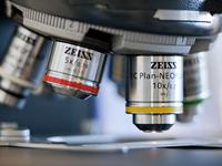 Microscopio Binoculare/Trinoculare Axioscope5/7 con Messa a Fuoco Manuale, Grado di Protezione IP53, Progettato per l'Imaging Ottico in Laboratorio di Materiali