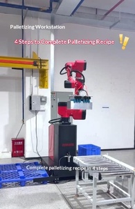 Bras robotisé Branter, station de palettisation manuelle 30 kg pour la manutention et la palettisation en stock - Product Image 5