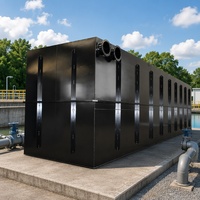 Équipement de traitement des eaux usées personnalisé, neuf ou d'occasion, en acier inoxydable, pompe à membrane MBBR MBR pour le traitement de l'eau, les industries agricoles