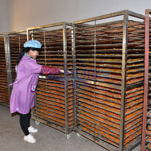 Équipement de découpe et de séchage de patates douces au prix fabricant – Machine de déshydratation pour tranches de patates douces - Product Image 2