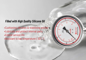 Industriële Roestvrijstalen <span class=keywords><strong>100Mm</strong></span> 100 Bar Diafragma Manometer Voor Corrosieve Media, Chemische Vezels, Verven, Farmaceutisch - Product Image 5
