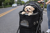Poussette pour animaux de compagnie moderne, nouvelle, élégante, à double couche, respirante, confortable et durable, à quatre roues, pour chien, pour chat