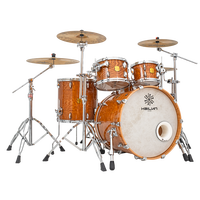 Hailun Chinese Ash Burl Drum Sets Instrument de percussion de haute qualité Ventes directes d'usine Usine directe BON MARCHÉ