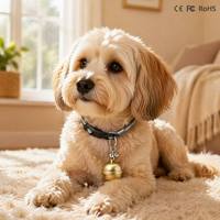 Traceur GPS pour animaux de compagnie G15, GPRS, étanche IP67, collier de suivi en temps réel, multi-mode (GPS/GLONASS/LBS), autonomie de la batterie >20 heures, Android