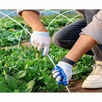 Nouvelle Arche de Serre Agricole en PRV (Polymère Renforcé de Fibres) 2026 – Poteau Flexible pour Tunnel Horticole/Végétal
