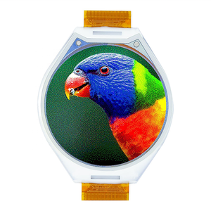 شاشة ليدا 1.69 بوصة بتقنية الحبر الإلكتروني، وحدة عرض بدقة 400×400، سطوع 80 شمعة/متر مربع، واجهة SPI/I2C، استهلاك منخفض للطاقة - Product Image 4