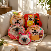 Coussin personnalisé en peluche avec photo d'animal de compagnie 50x50cm 20x20in, coussin pour chien ou chat, style anime, écologique, antibactérien, 100% polyester