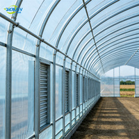 Serre agricole professionnelle multi-travées en film CE, tunnel en acier galvanisé avec refroidissement par ventilateur