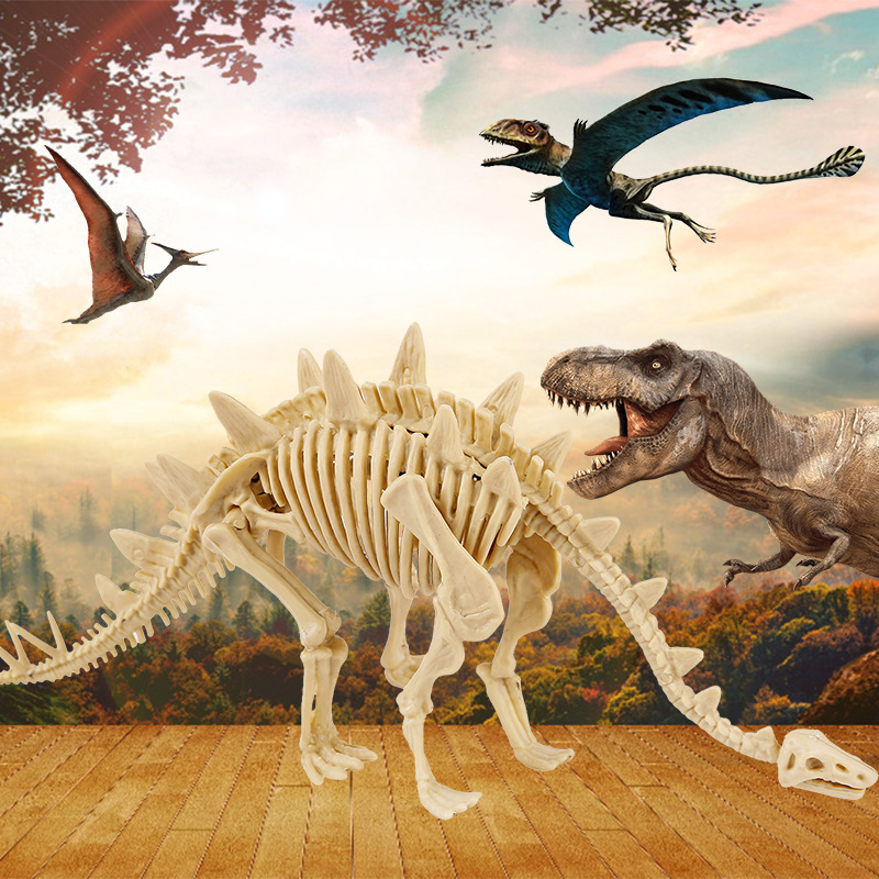 Stegosaurus squelette + manuel