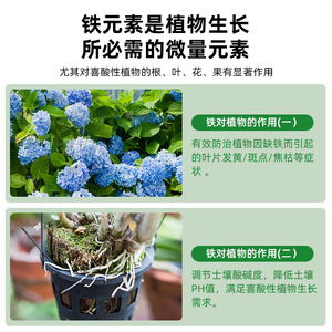 Ferrous Sulfate Fertilizer 500g Powder 99% Purity For Soil <b>Acidification</b> And Iron Supplementation - Product Image 5
