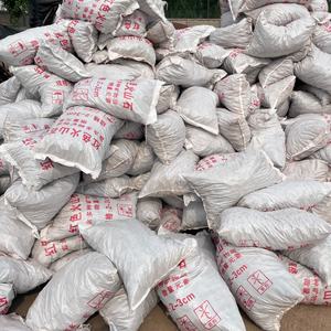 <span class=keywords><strong>Pierre</strong></span> volcanique <span class=keywords><strong>de</strong></span> haute qualité <span class=keywords><strong>Pierre</strong></span> <span class=keywords><strong>de</strong></span> <span class=keywords><strong>lave</strong></span> rouge 3-5 cm <span class=keywords><strong>Barbecue</strong></span> Grill <span class=keywords><strong>Prix</strong></span> <span class=keywords><strong>de</strong></span> roche volcanique naturelle noire - Product Image 5