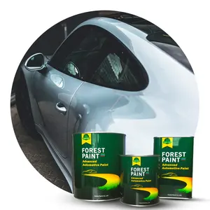 Acrylic Car Paint Manufacturer Refinish PU Paint Good Covering 1K Silver Metallic Black 2K Car Paint Repair Mixing System